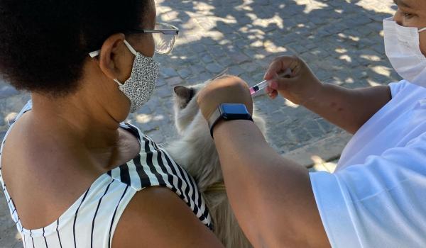 Imagens da Vacinação contra RAIVA, para cães e gatos.