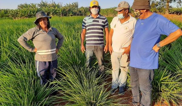 A Prefeitura Municipal de Seabra, através da Secretaria de Agricultura e Irrigação, firmou parceria com o Projeto Sebrae-Agronordeste