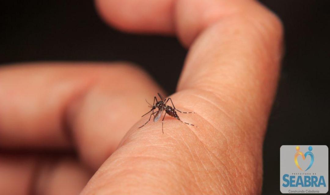 Fumacê passa por ruas de Seabra para reforçar combate ao Aedes aegypti