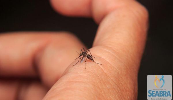 Fumacê passa por ruas de Seabra para reforçar combate ao Aedes aegypti