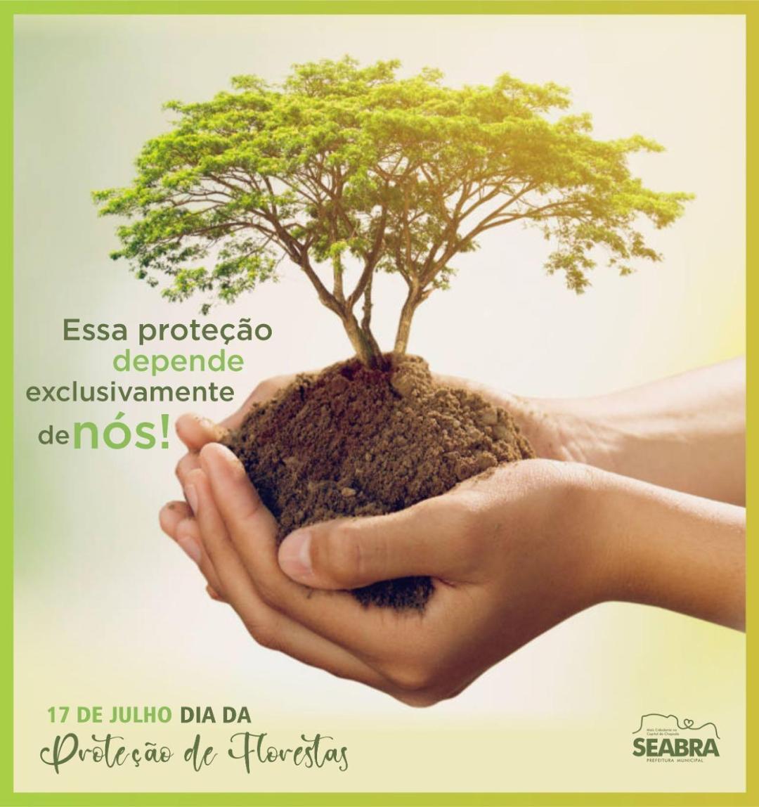 O Dia de Proteção às Florestas é comemorado anualmente em 17 de julho.